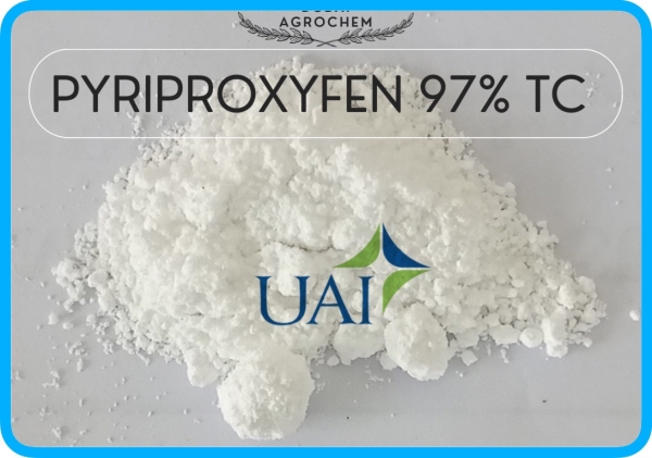 PYRIPROXYFEN 97% TC - Công Ty TNHH Hóa Chất Phân Bón Thuốc Bvtv Dubai